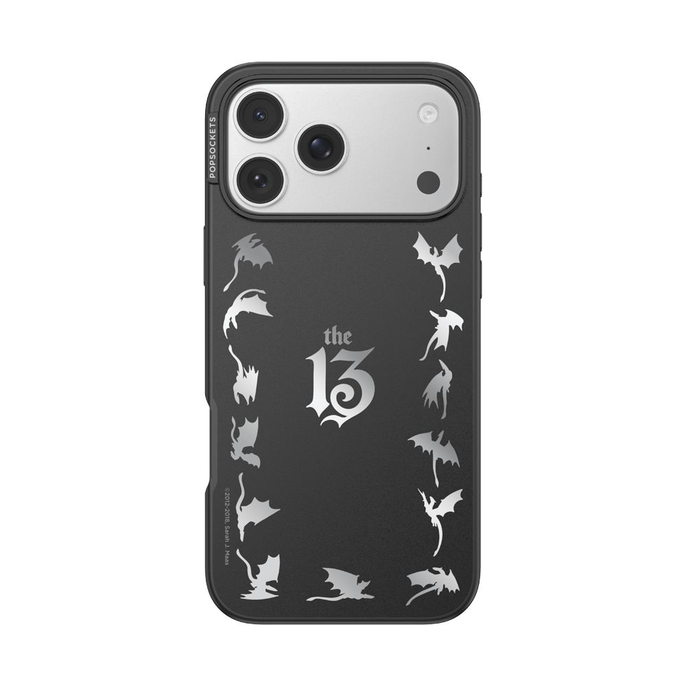 Mirror The 13 — iPhone 17 Pro Max MagSafe Case - US 78613